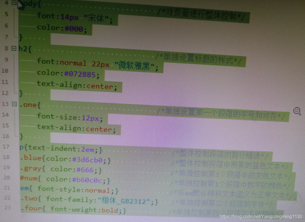 深入了解 CSS 选择器：标签选择器与类选择器的详细介绍