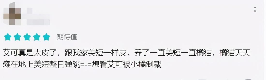 二次元游戏又出黑马？2021的惊喜是否是这只“猫”__二次元游戏又出黑马？2021的惊喜是否是这只“猫”